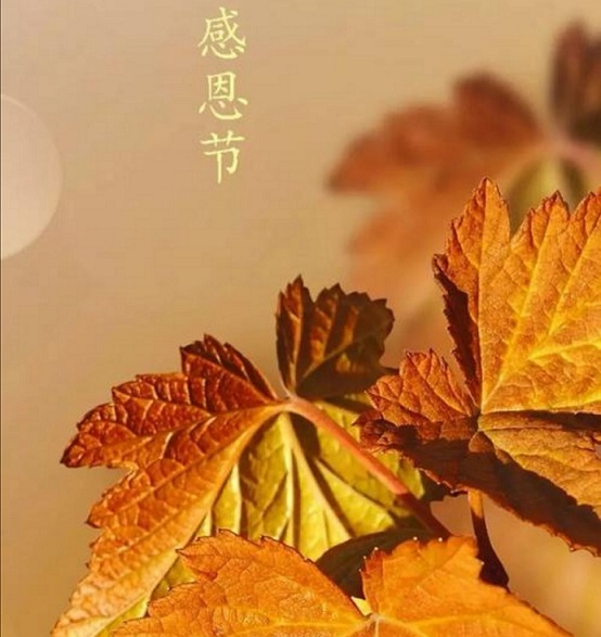 感恩遇見！